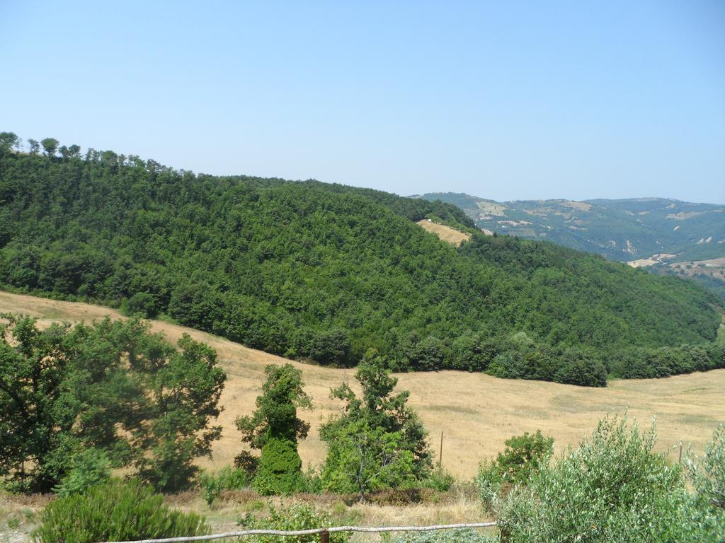 Agriturismo La Terrazza Valfabbrica Eksteriør bilde