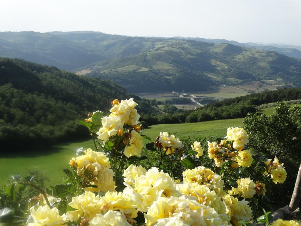 Agriturismo La Terrazza Valfabbrica Eksteriør bilde